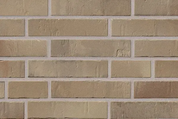 Kontur braunbrand